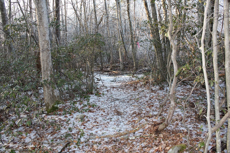 Ice4